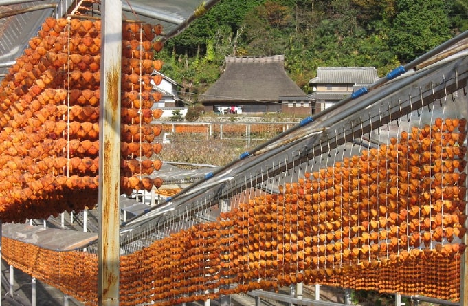 串柿の里　四郷