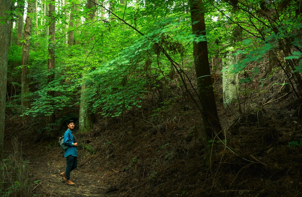 一人旅で巡る、聖地への道