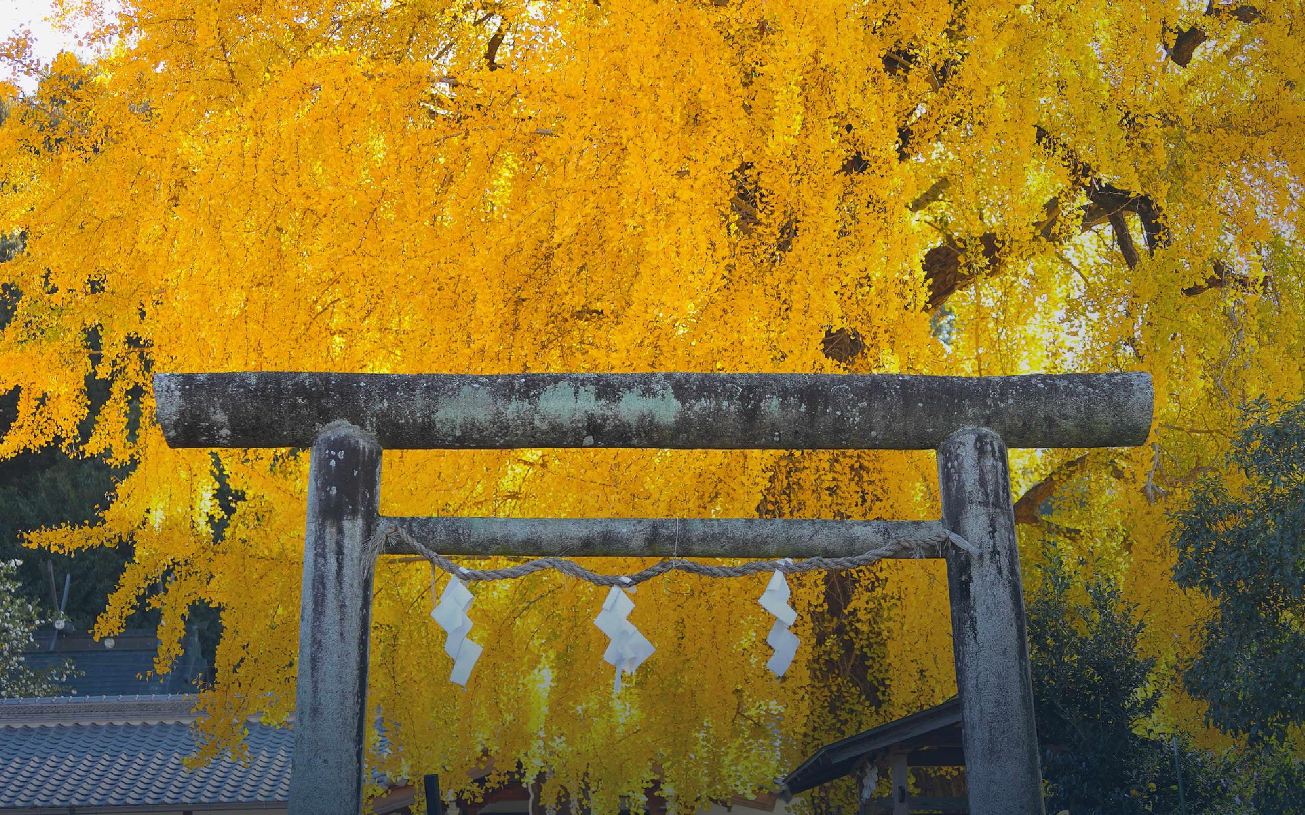 Autumn