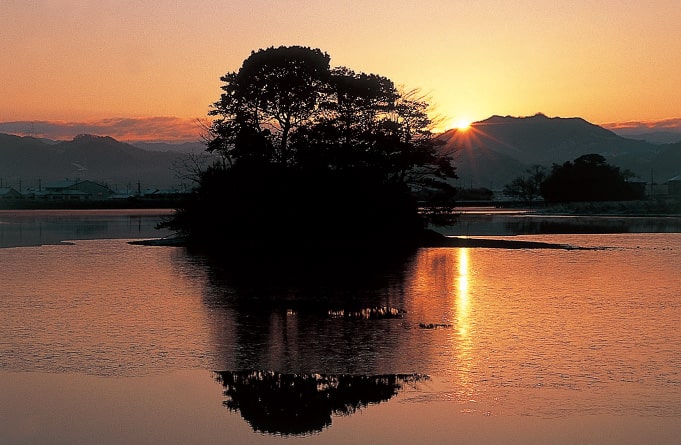 平池緑地公園