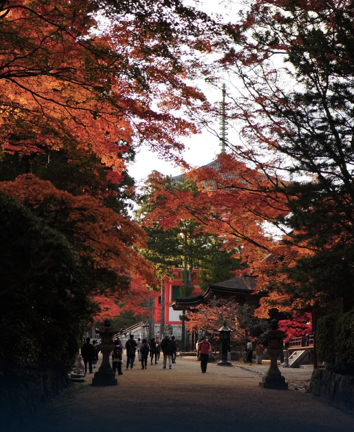 高野山巡礼