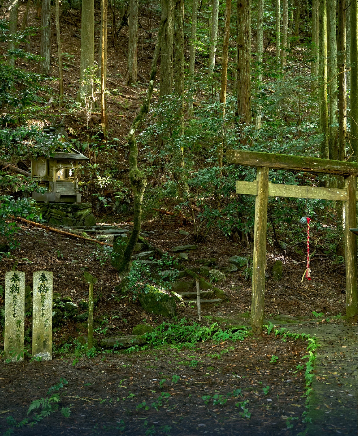丹生都比売神社巡礼