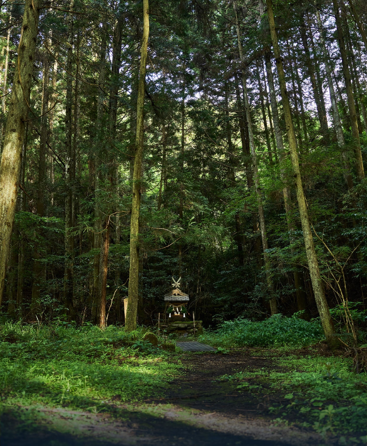丹生都比売神社巡礼