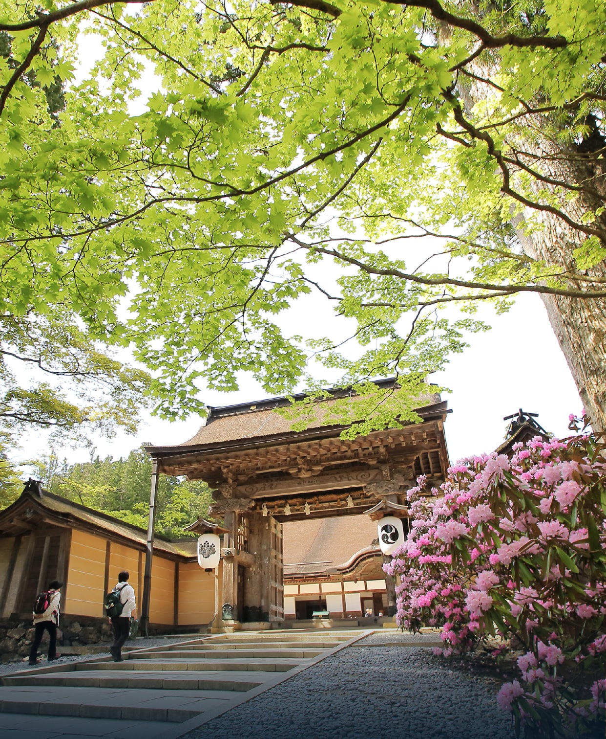 高野山巡礼