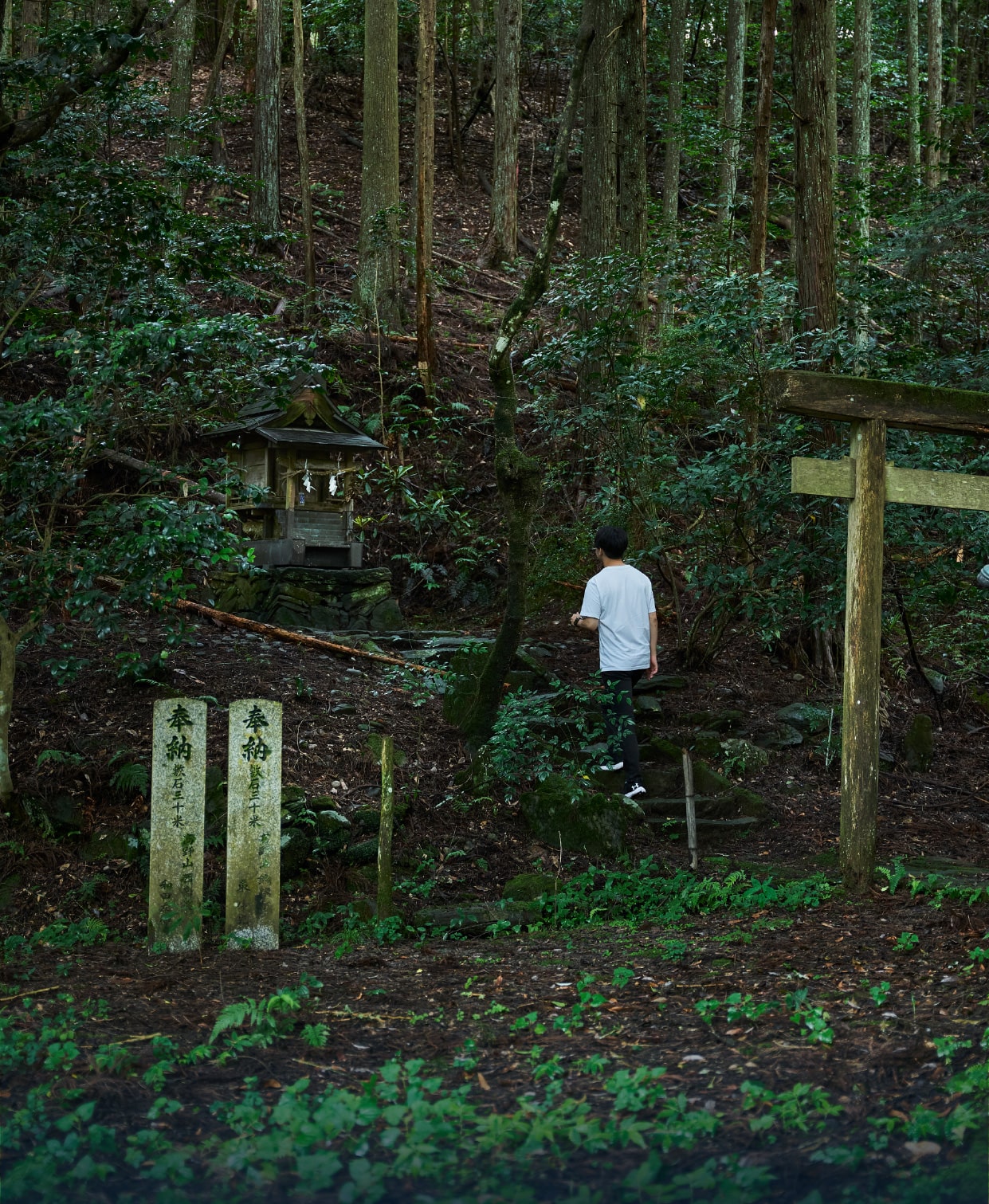 丹生都比売神社巡礼