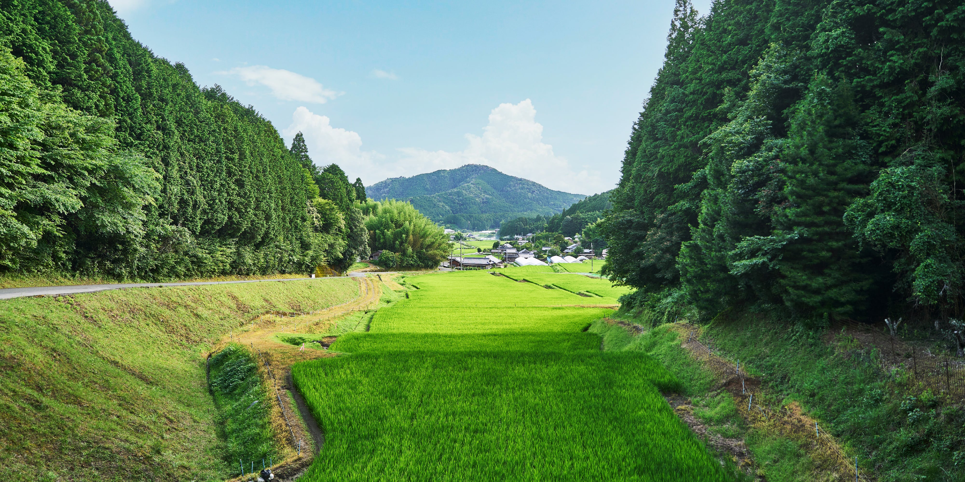AMANOSATO